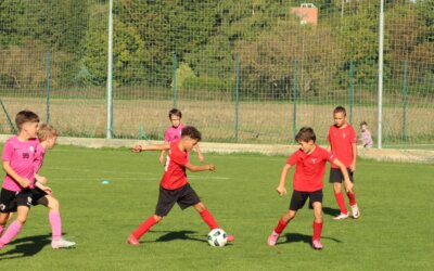 Bojovnost, nasazení a podpora fanoušků